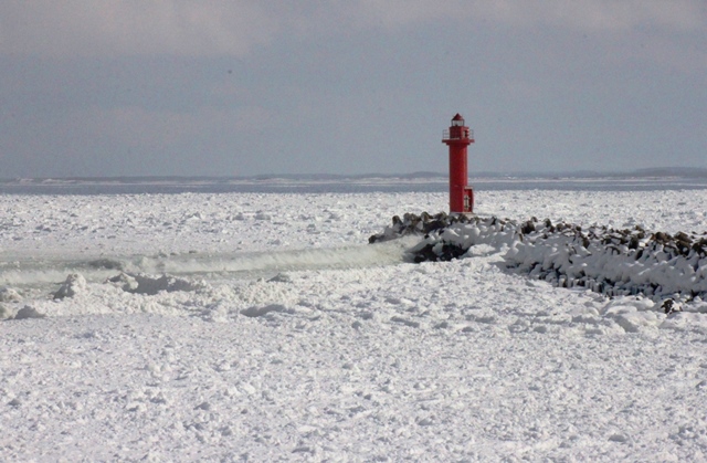 f:id:bihorokiyoshi:20210220064607j:plain