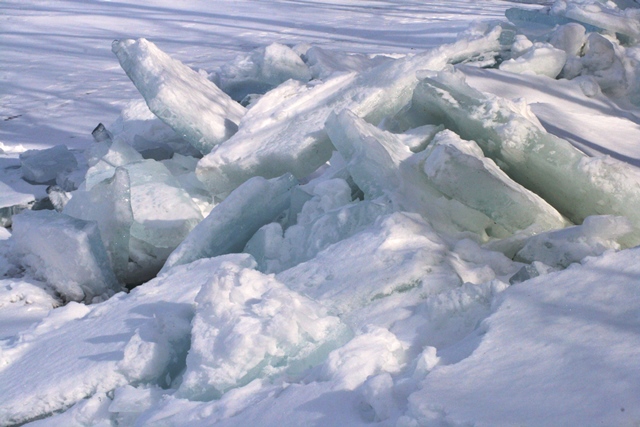 f:id:bihorokiyoshi:20210223073346j:plain