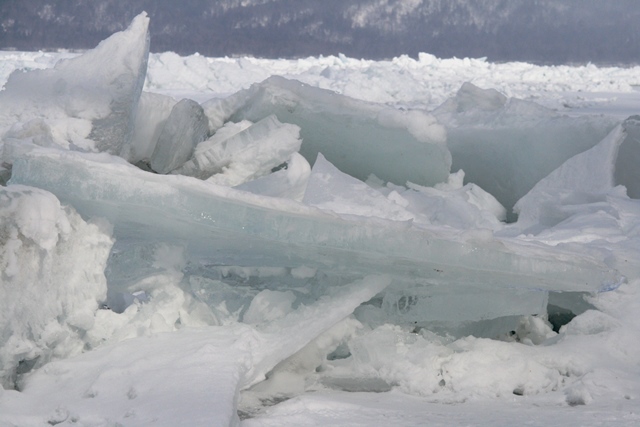 f:id:bihorokiyoshi:20210223073405j:plain