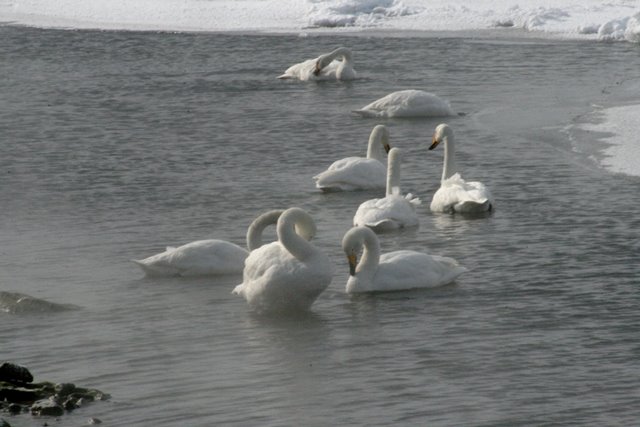 f:id:bihorokiyoshi:20210225072514j:plain