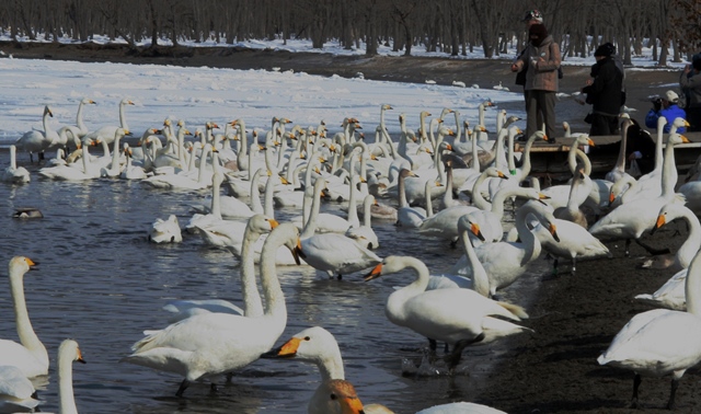 f:id:bihorokiyoshi:20210225073151j:plain