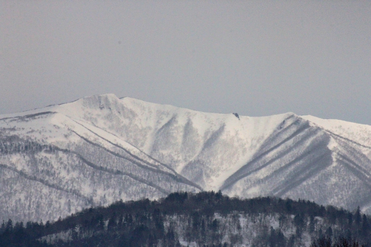 f:id:bihorokiyoshi:20210227070205j:plain