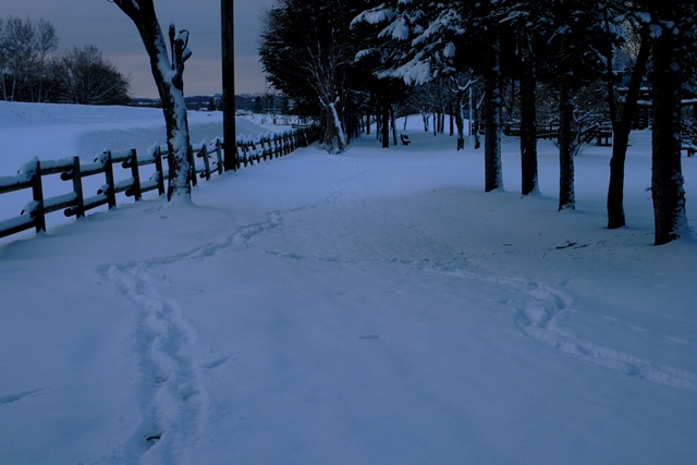 f:id:bihorokiyoshi:20210413055825j:plain