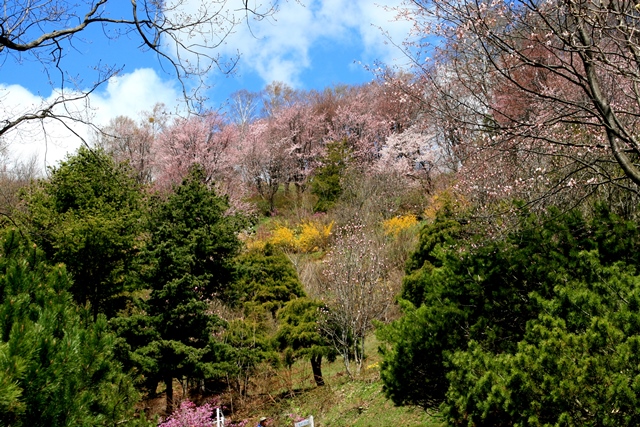 f:id:bihorokiyoshi:20210512052023j:plain