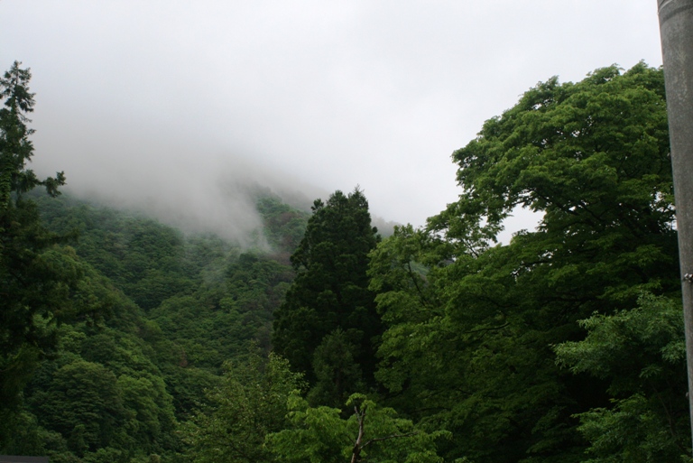 f:id:bihorokiyoshi:20210604074324j:plain