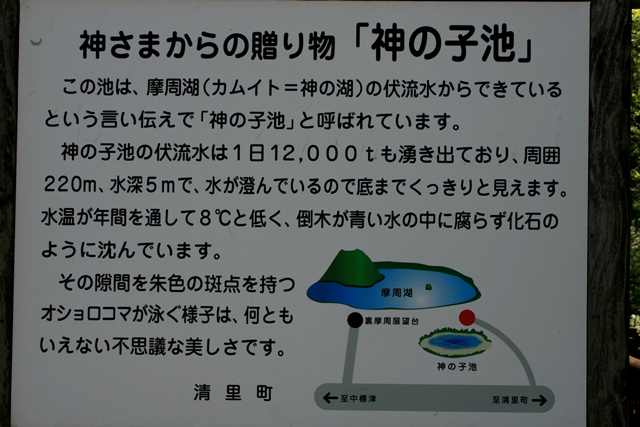 f:id:bihorokiyoshi:20210612075106j:plain