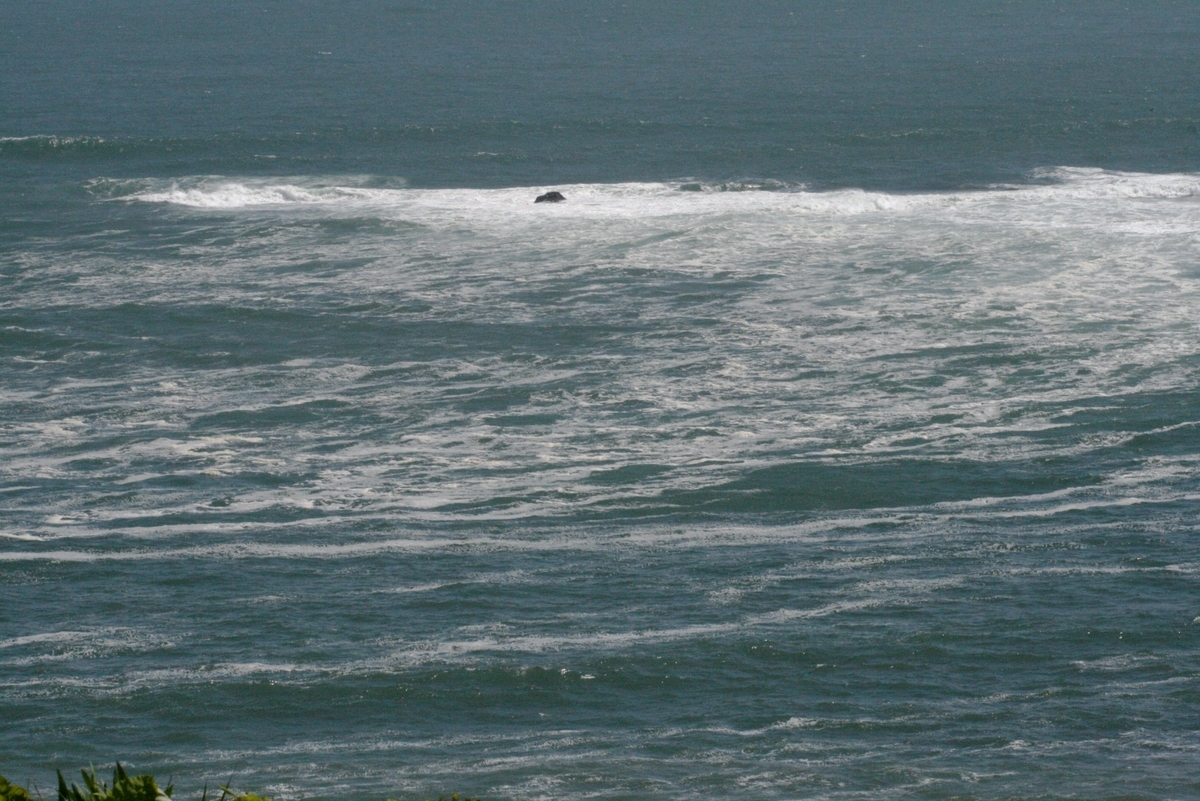 f:id:bihorokiyoshi:20210703060843j:plain