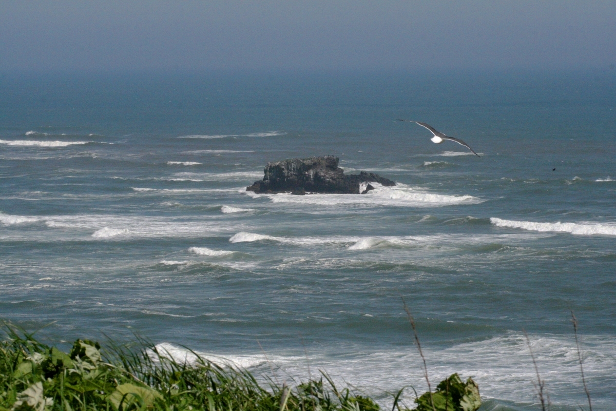 f:id:bihorokiyoshi:20210703060910j:plain