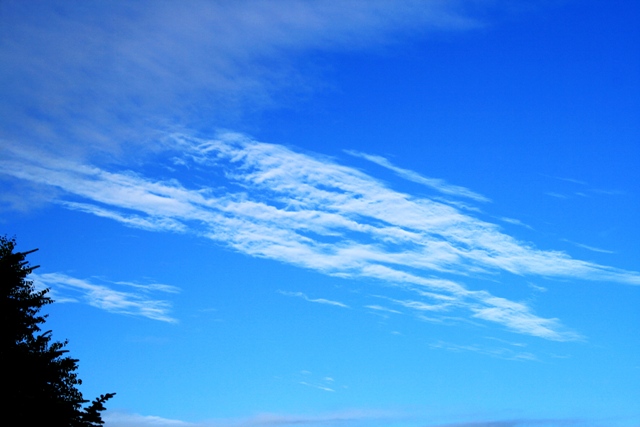 f:id:bihorokiyoshi:20210724063227j:plain