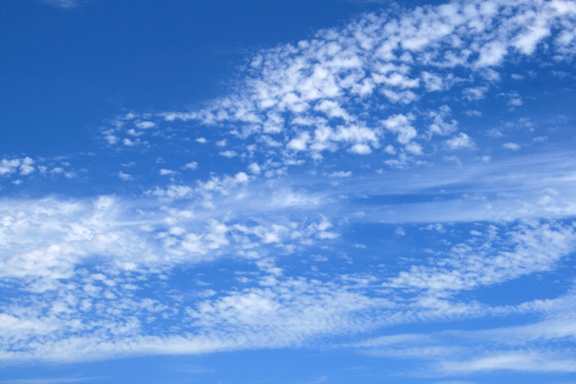 f:id:bihorokiyoshi:20210724063243j:plain