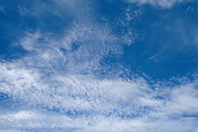 f:id:bihorokiyoshi:20210724063316j:plain