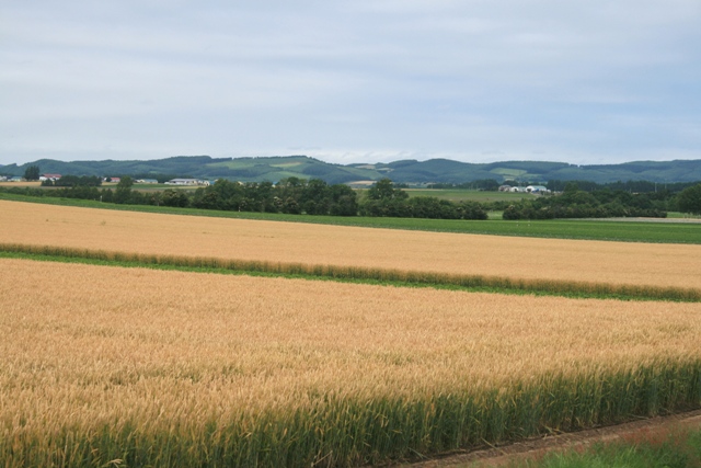 f:id:bihorokiyoshi:20210727061434j:plain