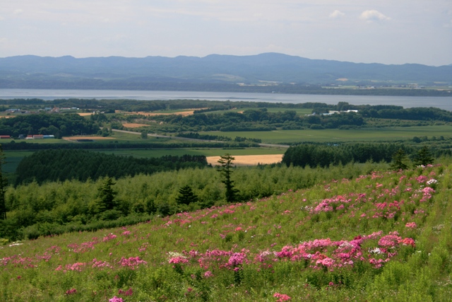 f:id:bihorokiyoshi:20210802065234j:plain