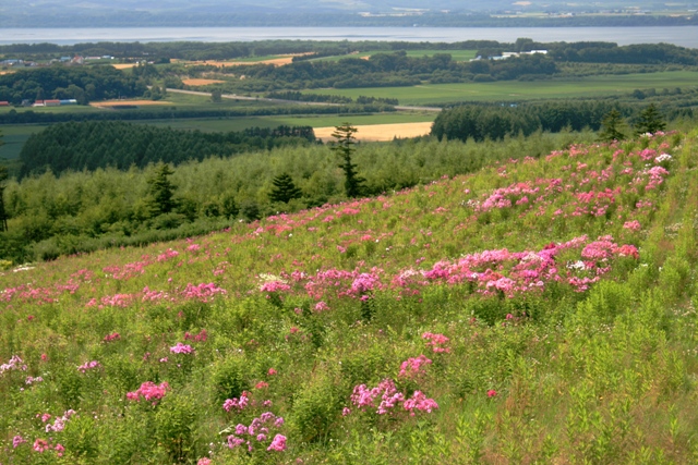 f:id:bihorokiyoshi:20210802065253j:plain