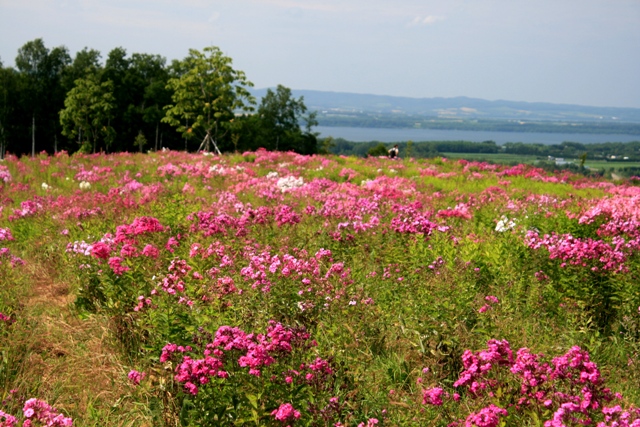 f:id:bihorokiyoshi:20210802065310j:plain