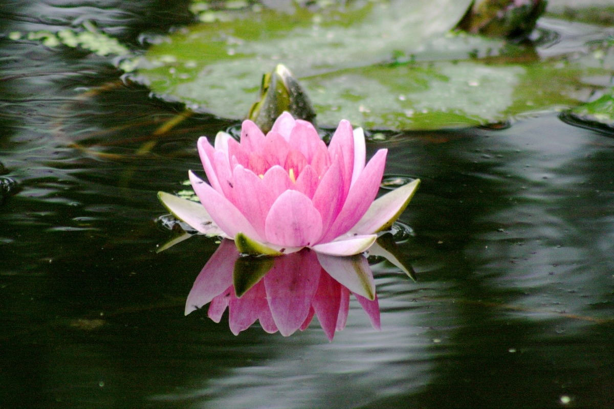 f:id:bihorokiyoshi:20210806063632j:plain