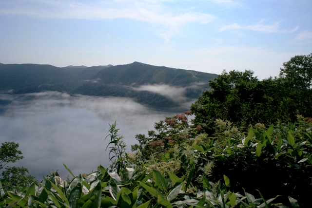 f:id:bihorokiyoshi:20210808075012j:plain