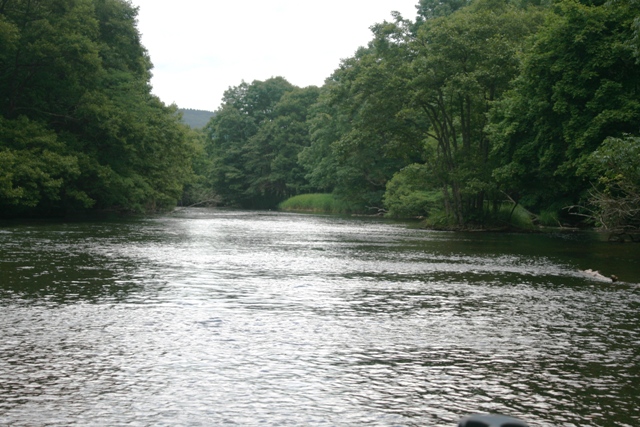 f:id:bihorokiyoshi:20210810053606j:plain