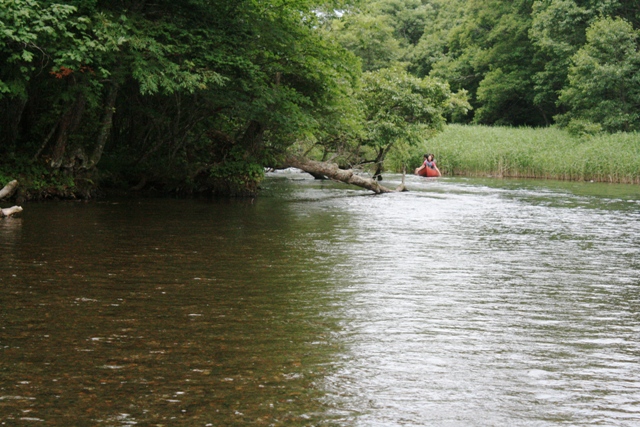 f:id:bihorokiyoshi:20210810053758j:plain