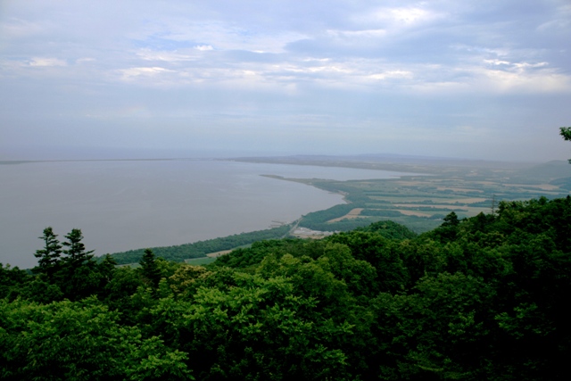 f:id:bihorokiyoshi:20210811072512j:plain