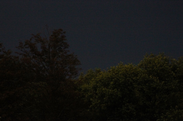 f:id:bihorokiyoshi:20210816054456j:plain