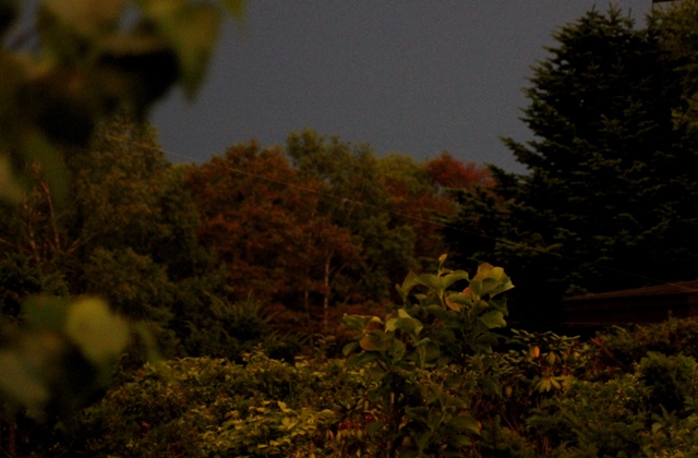 f:id:bihorokiyoshi:20210816054518j:plain