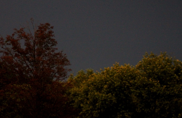 f:id:bihorokiyoshi:20210816054536j:plain