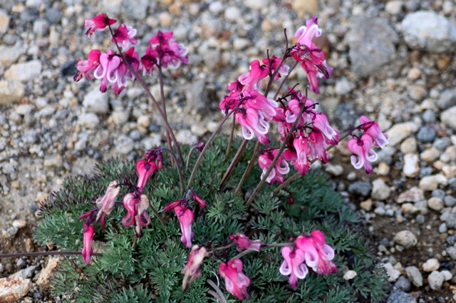 f:id:bihorokiyoshi:20210818054900j:plain