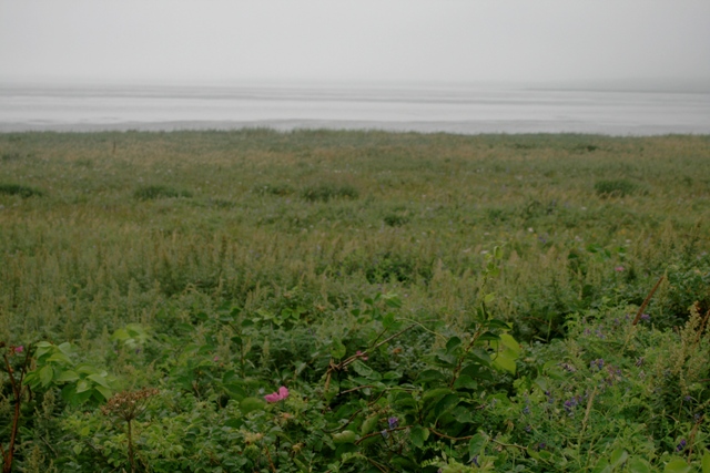 f:id:bihorokiyoshi:20210829071813j:plain