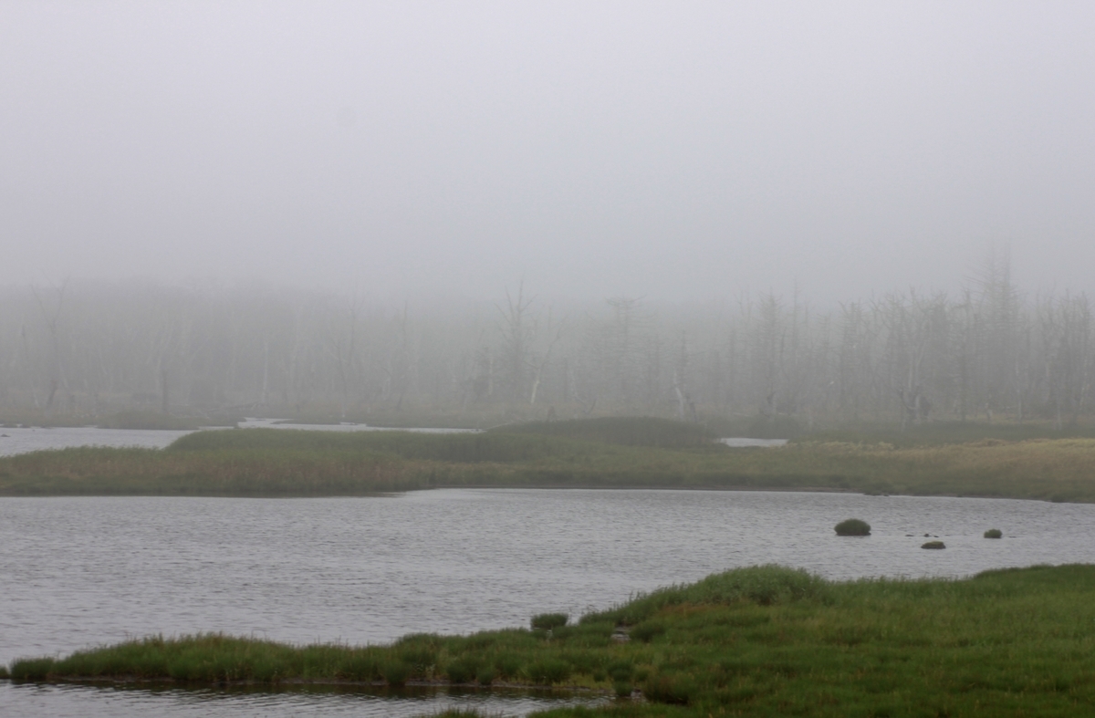 f:id:bihorokiyoshi:20210829072555j:plain