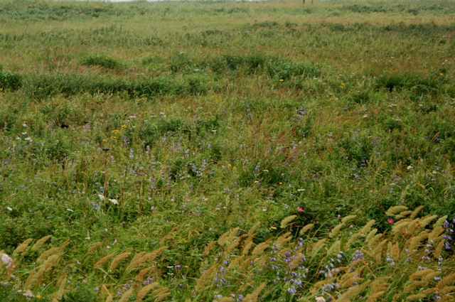 f:id:bihorokiyoshi:20210830051645j:plain