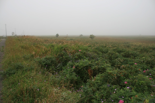 f:id:bihorokiyoshi:20210830051824j:plain