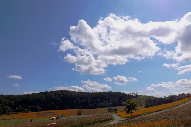 f:id:bihorokiyoshi:20210922053857j:plain