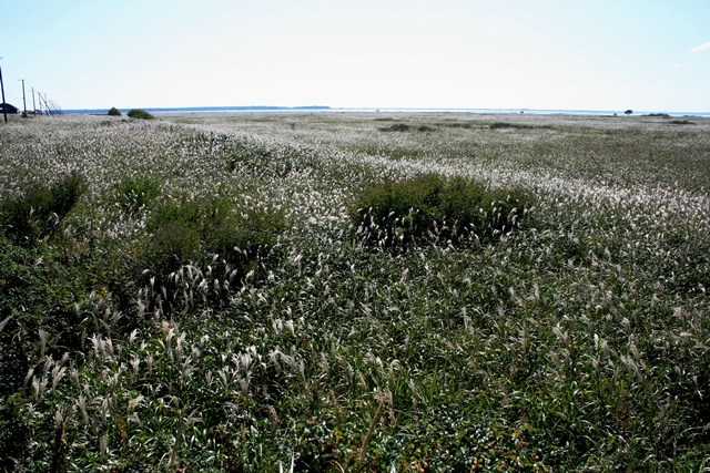 f:id:bihorokiyoshi:20210930070104j:plain