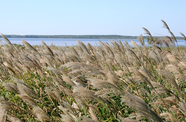 f:id:bihorokiyoshi:20210930070137j:plain