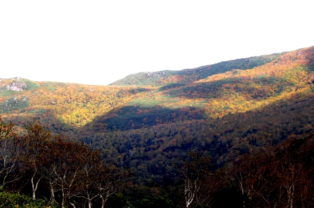 f:id:bihorokiyoshi:20211005072524j:plain