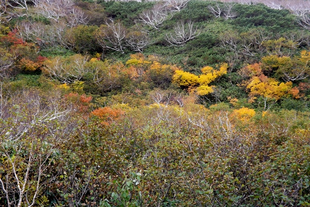 f:id:bihorokiyoshi:20211005072548j:plain