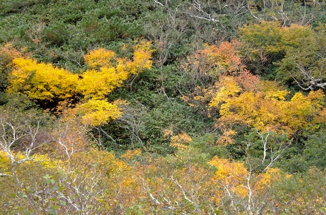 f:id:bihorokiyoshi:20211005072608j:plain