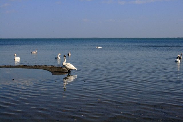 f:id:bihorokiyoshi:20211023054134j:plain