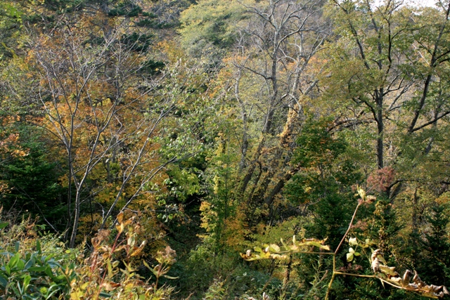 f:id:bihorokiyoshi:20211024060217j:plain