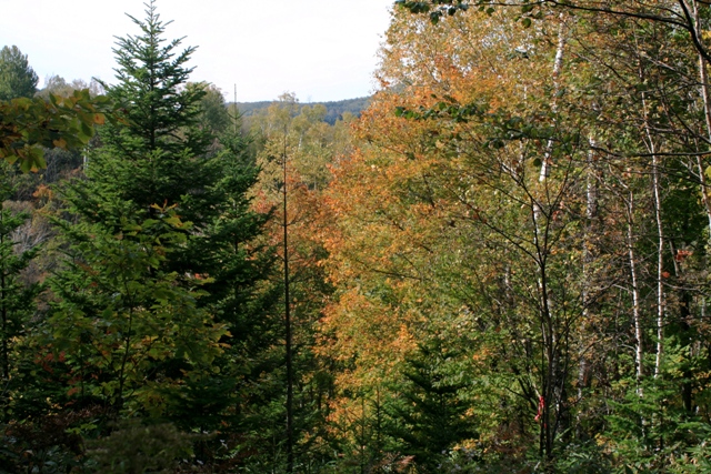 f:id:bihorokiyoshi:20211024060318j:plain