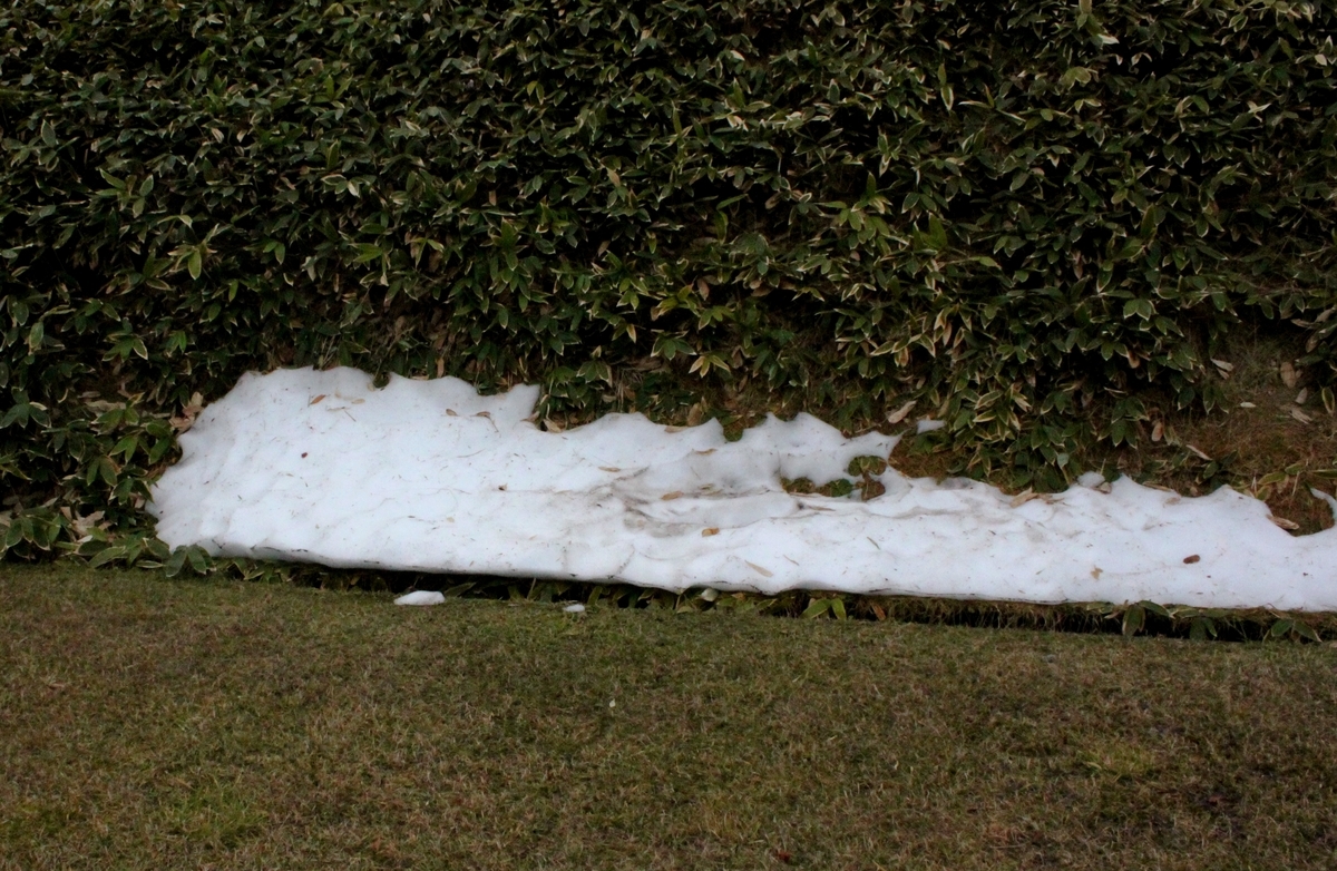 f:id:bihorokiyoshi:20211110045419j:plain