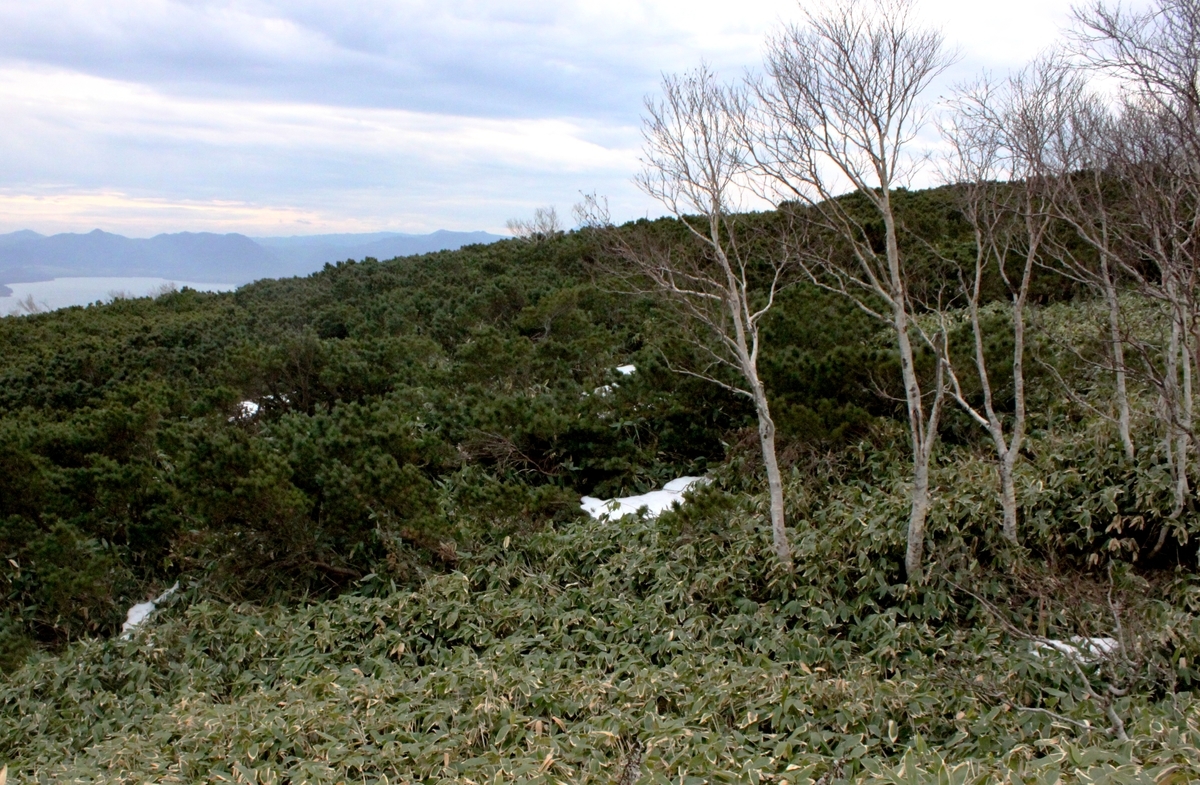 f:id:bihorokiyoshi:20211110045441j:plain