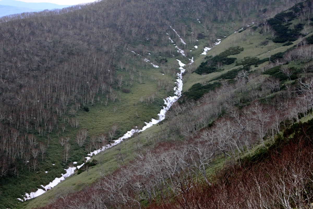 f:id:bihorokiyoshi:20211110045503j:plain