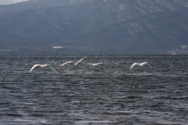 f:id:bihorokiyoshi:20211120061939j:plain