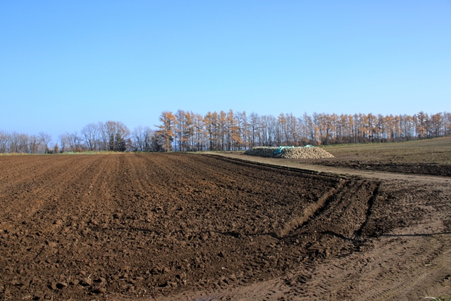 f:id:bihorokiyoshi:20211121064313j:plain