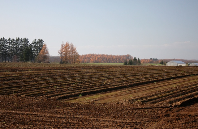 f:id:bihorokiyoshi:20211121064325j:plain