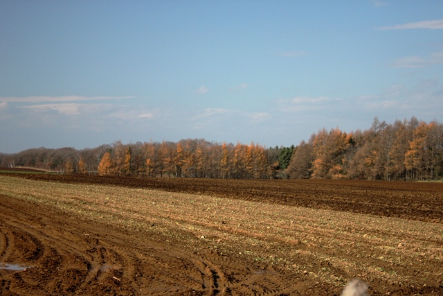 f:id:bihorokiyoshi:20211121064334j:plain