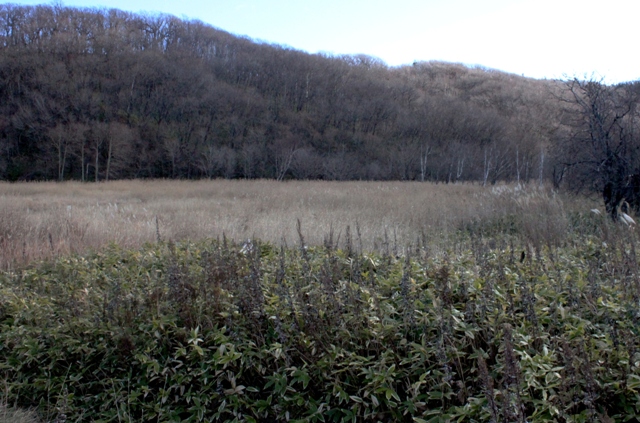 f:id:bihorokiyoshi:20211122064005j:plain