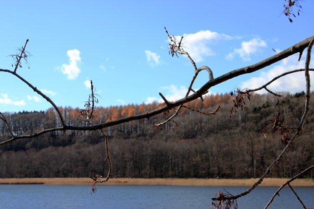 f:id:bihorokiyoshi:20211122064046j:plain